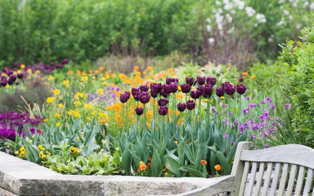a bench in a park with tulips and other flowers nearby