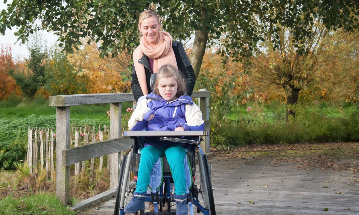 a parent pushing their disabled child's wheelchair over a bridge in a park