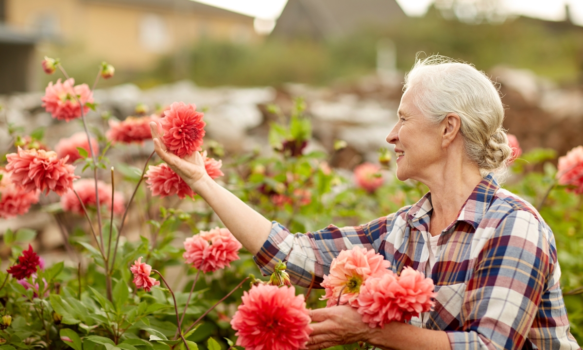 an elderly woman picking flowers