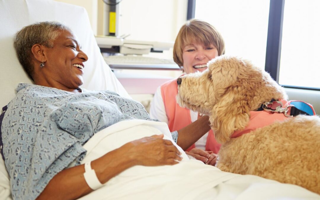 The Power of Pet Therapy for Seniors: Enhancing Well-being and Health