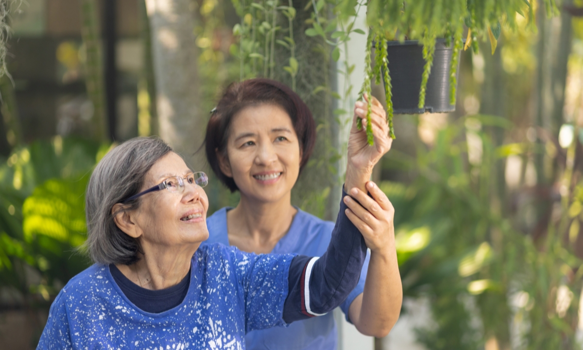 a nurse showing an elderly patient a hanging plant