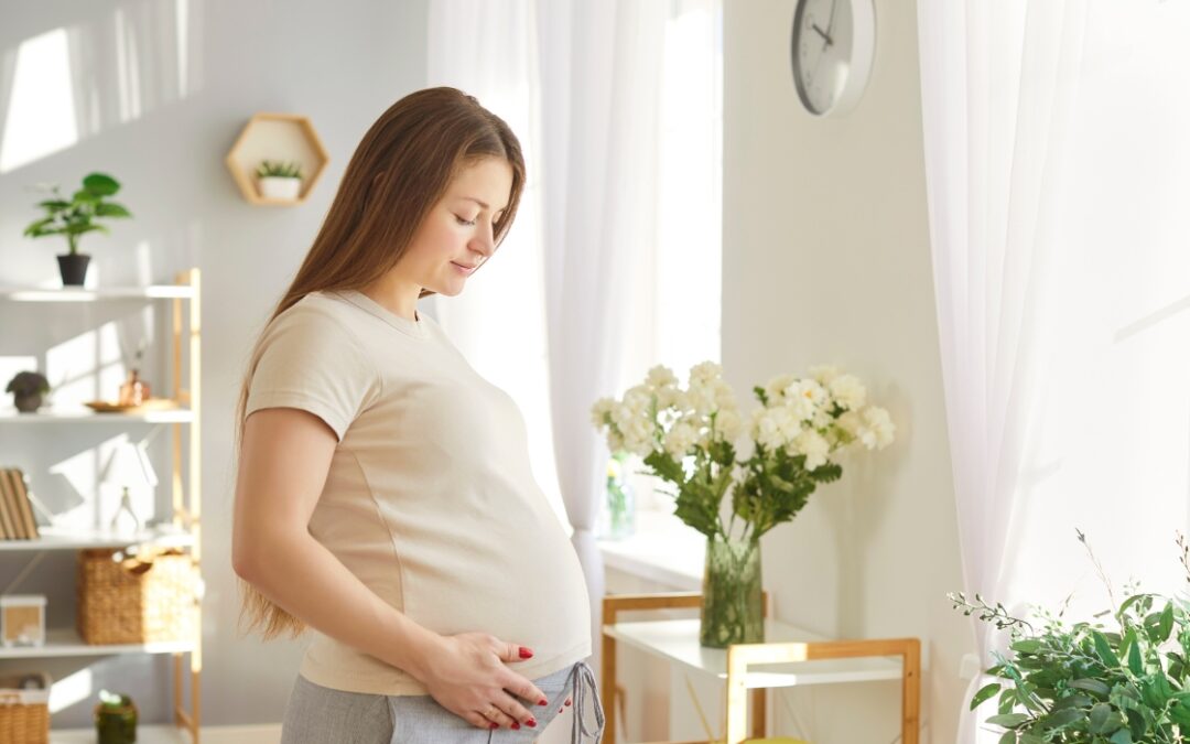 Supporting Expecting & New Mothers: Non-Medical In-Home Assistance During Pregnancy and Postpartum